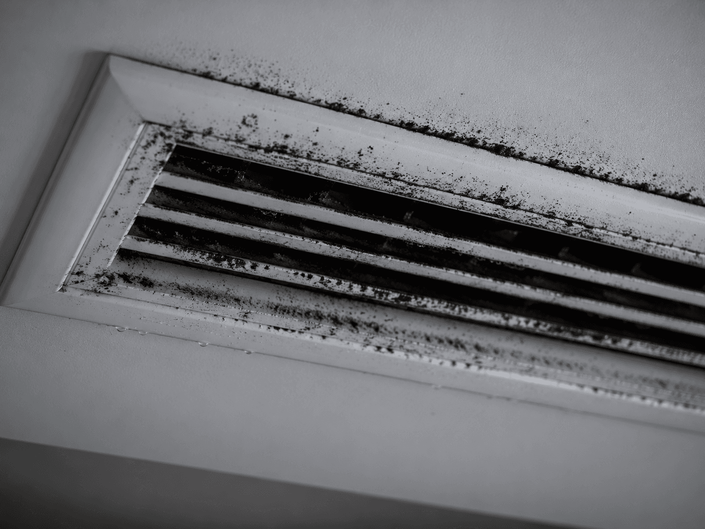 Mould in an air-conditioning vent
